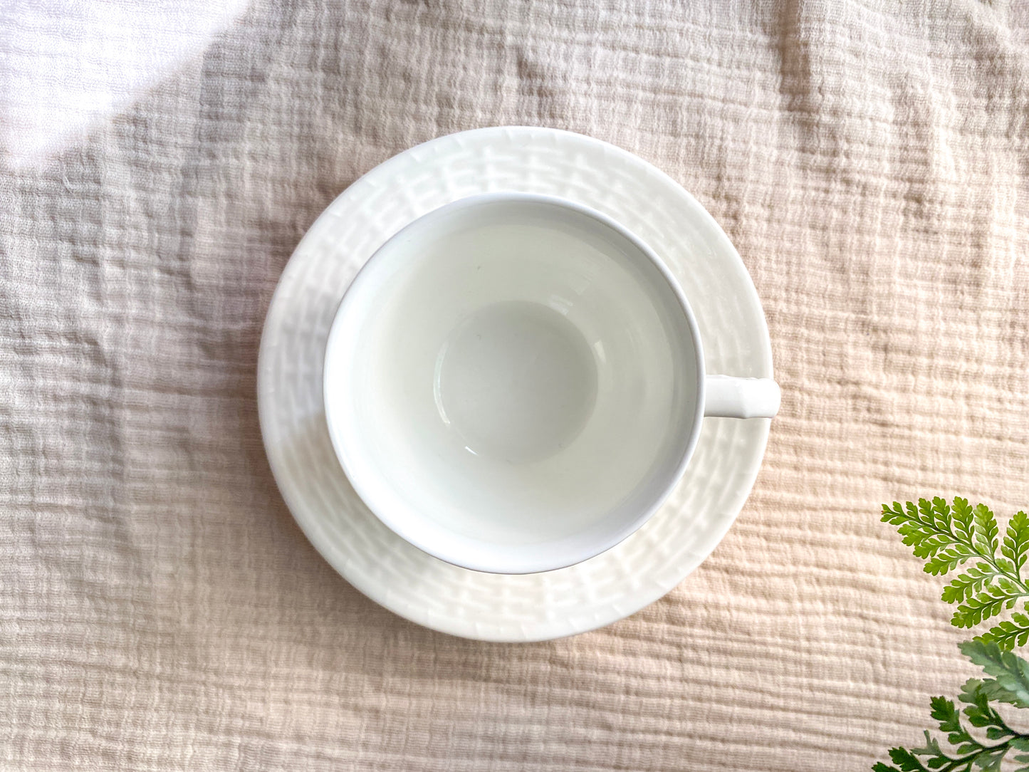 Wedgwood 'Nantucket' Basketweave White Bone China Teacup and Saucer