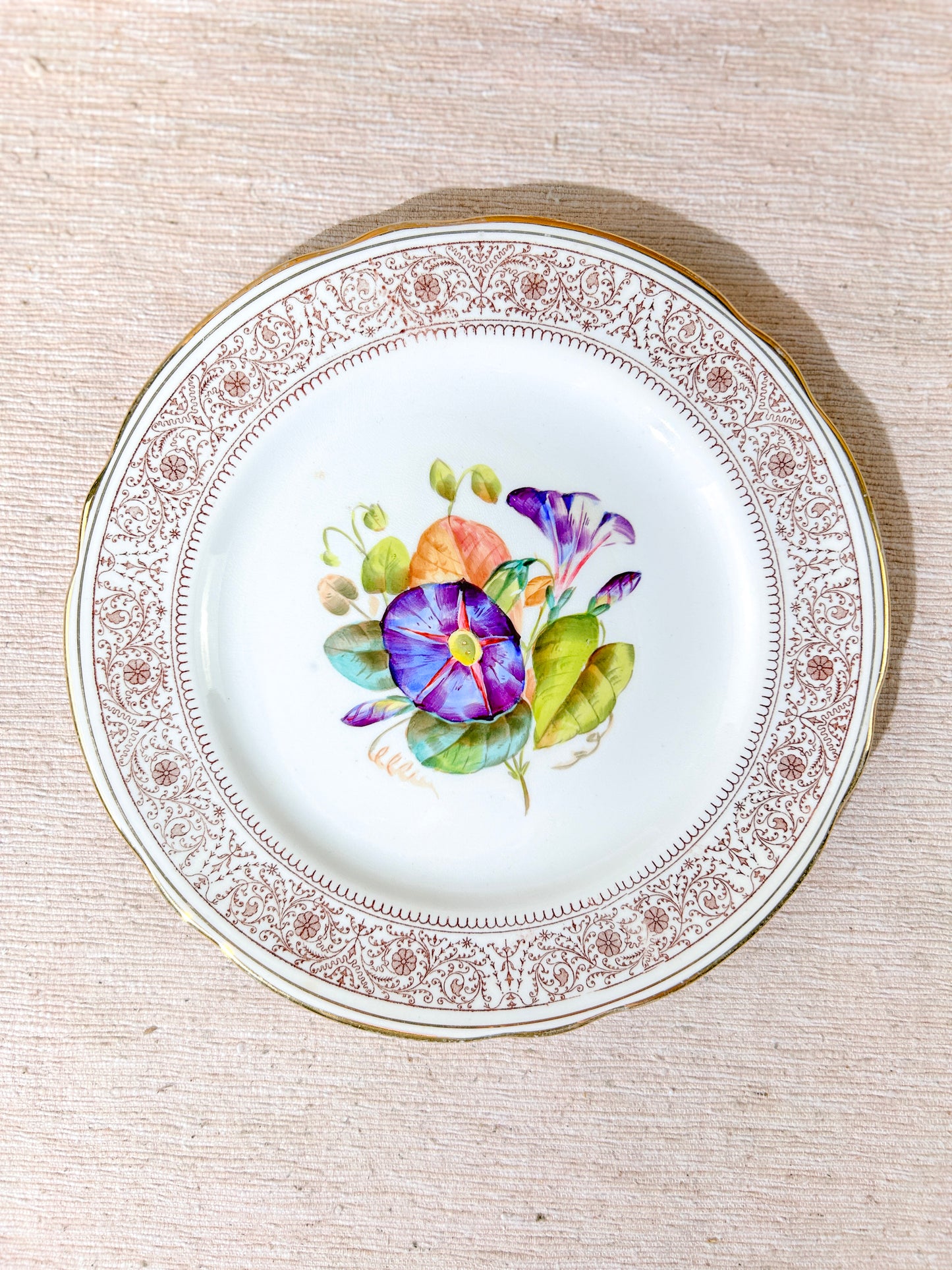 19th Century Hand Painted Floral Plates Set Gold Gilt x6