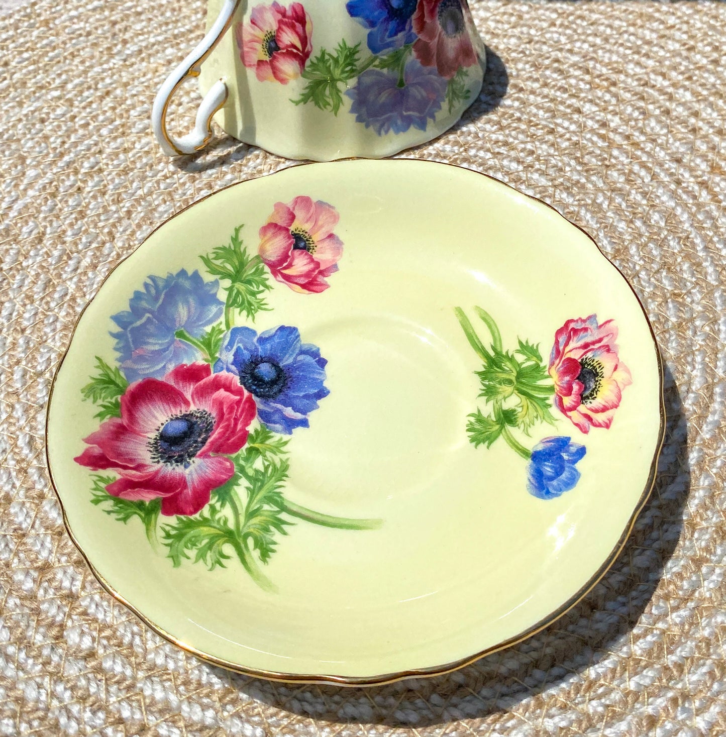 Vintage Paragon Anemones Bone China Teacup & Saucer