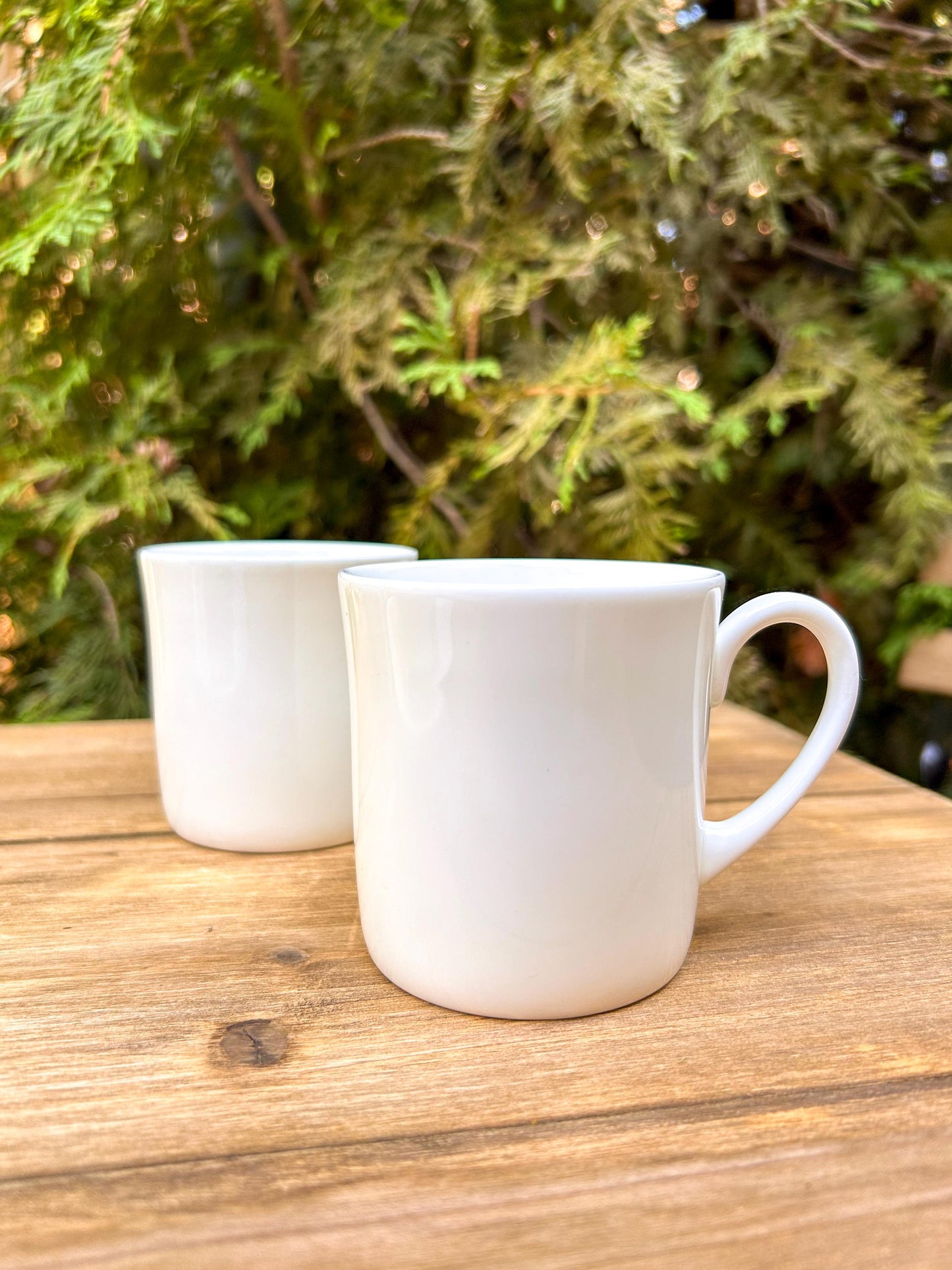 Wedgwood Formal White Bone China Flat Cup Saucer Soup Bowl