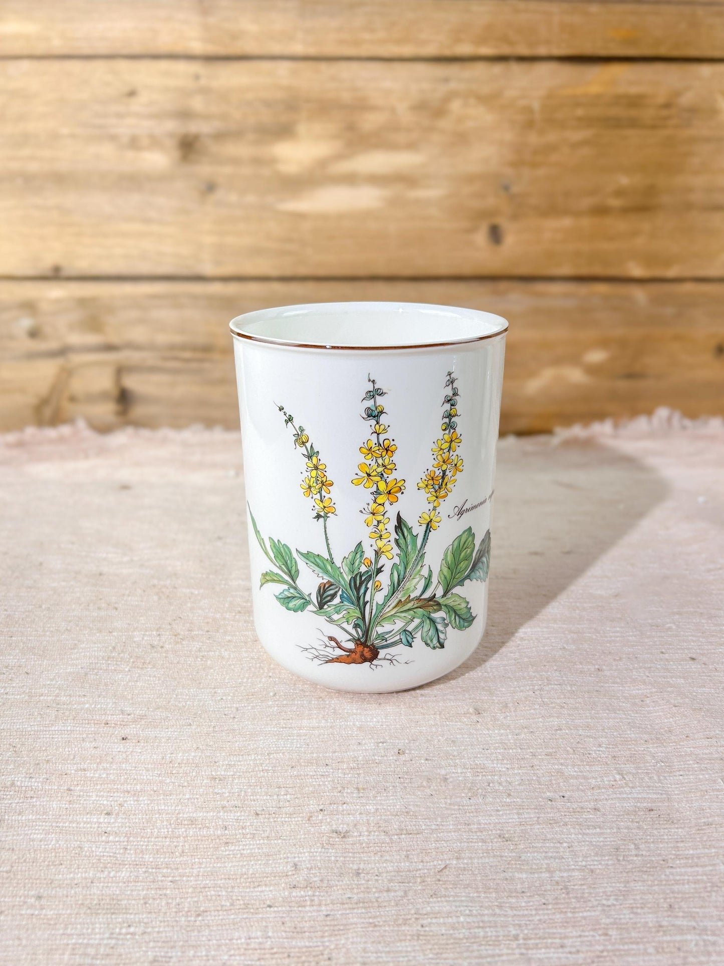 Villeroy & Boch Botanica Cylindrical Porcelain Utensil Holder Vase