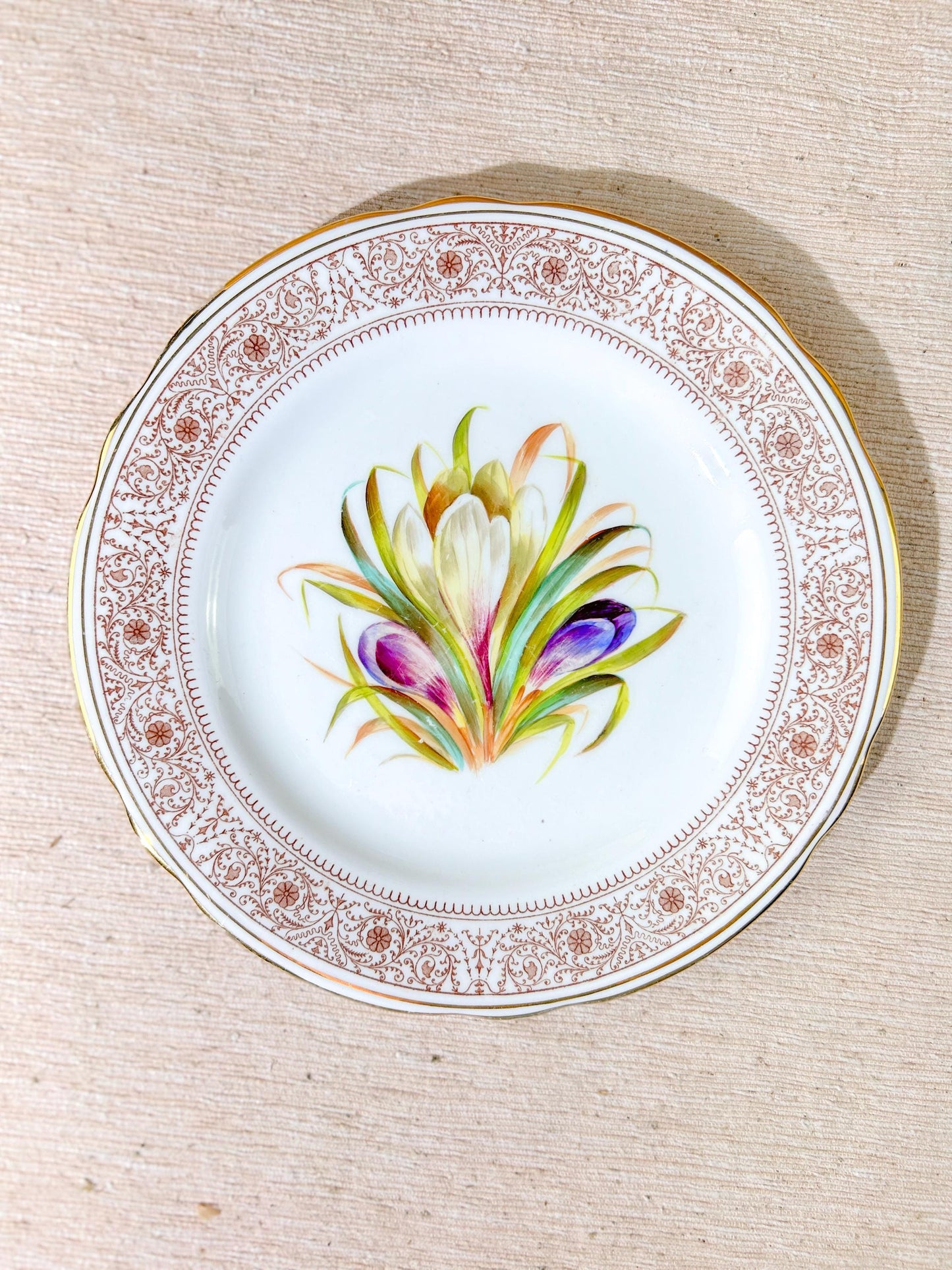 19th Century Hand Painted Floral Plates Set Gold Gilt x6